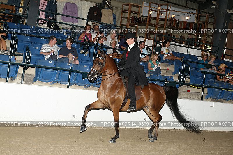 Proof 07R14_0369