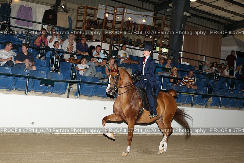 Proof 07R14_0370