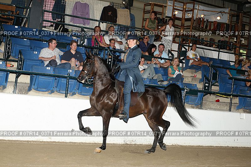 Proof 07R14_0371