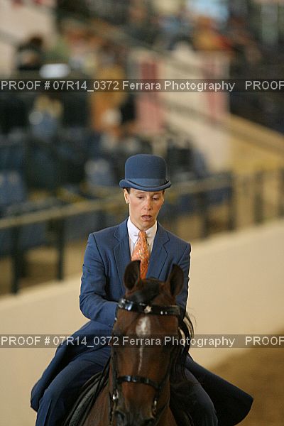 Proof 07R14_0372