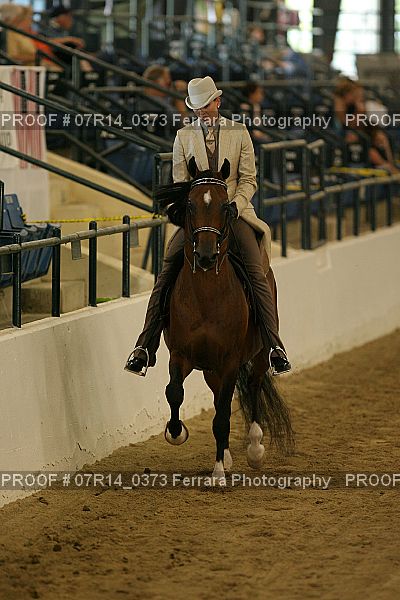 Proof 07R14_0373