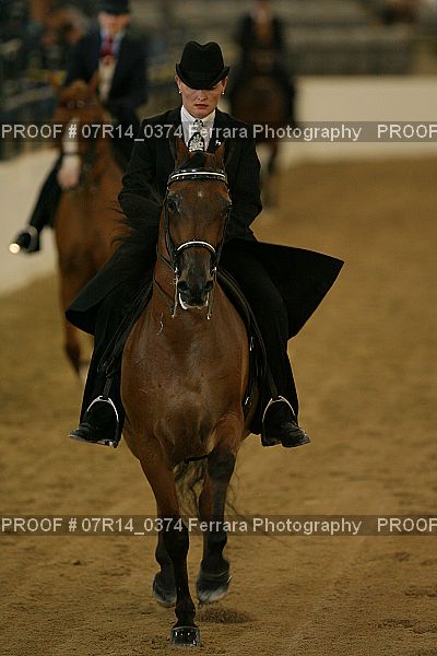 Proof 07R14_0374