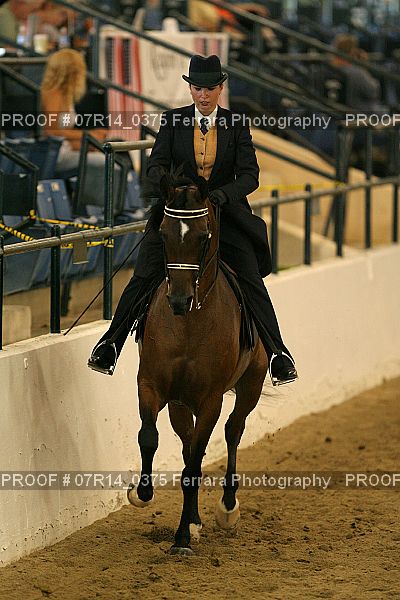 Proof 07R14_0375