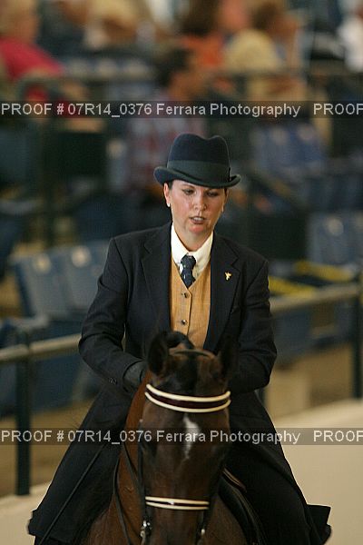 Proof 07R14_0376