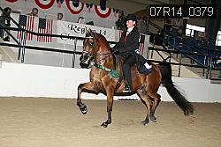 07R14_0379 proof