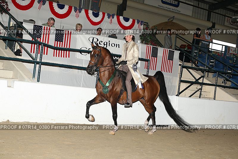 Proof 07R14_0380