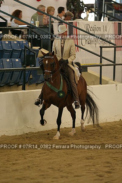 Proof 07R14_0382