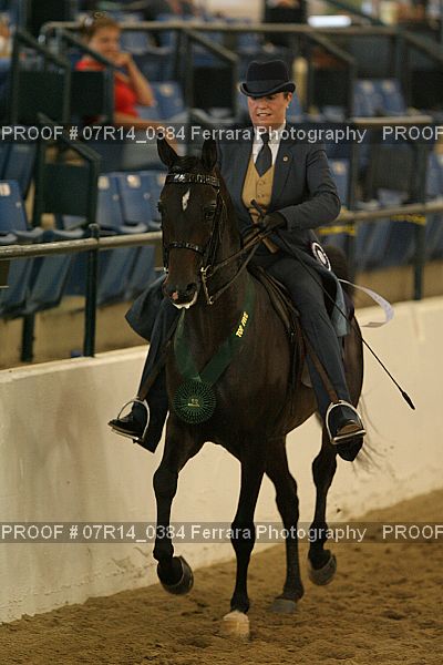 Proof 07R14_0384
