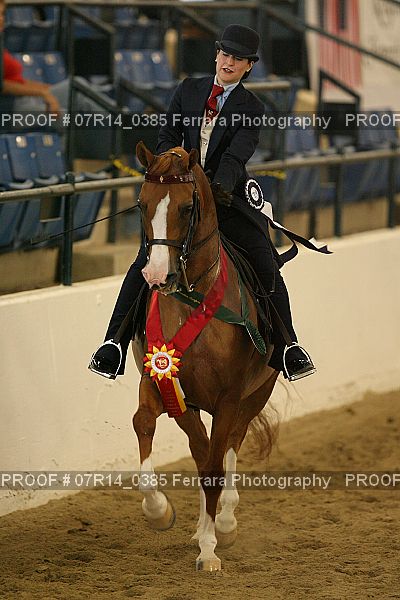 Proof 07R14_0385