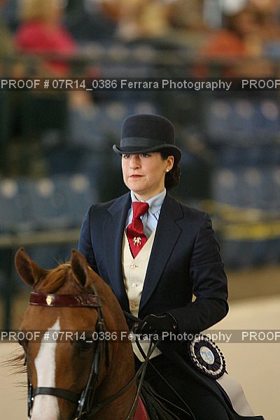 Proof 07R14_0386