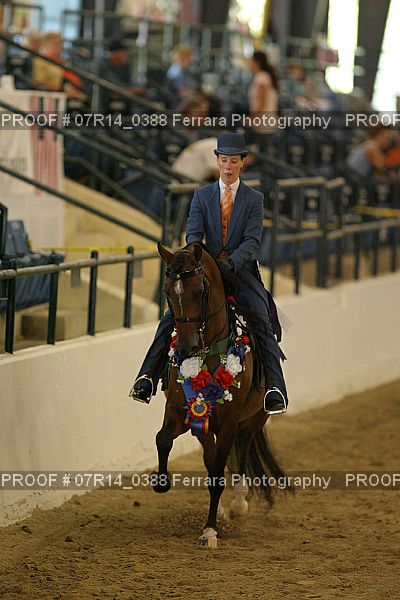 Proof 07R14_0388
