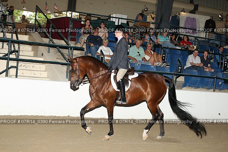 Proof 07R14_0390
