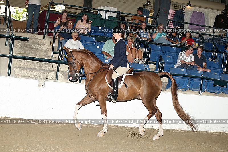 Proof 07R14_0391