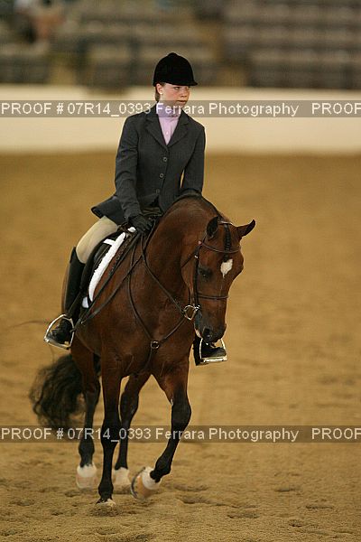 Proof 07R14_0393