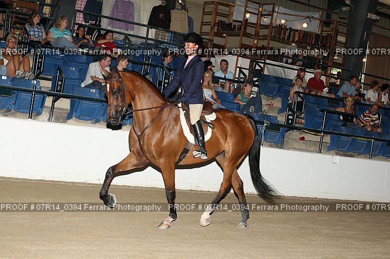 Proof 07R14_0394