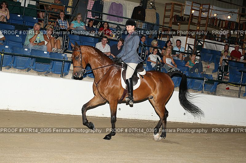 Proof 07R14_0395