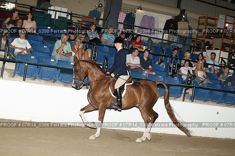 Proof 07R14_0398