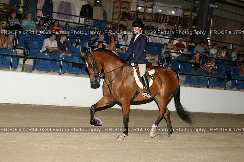Proof 07R14_0399