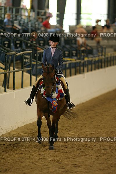 Proof 07R14_0408