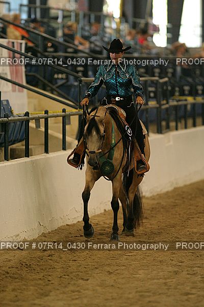 Proof 07R14_0430