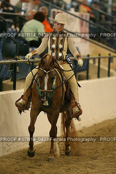 Proof 07R14_0433