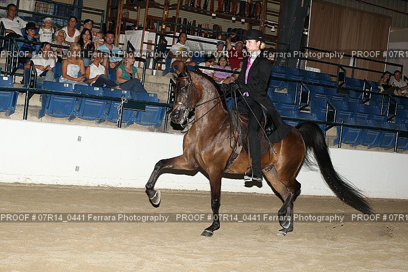 Proof 07R14_0441