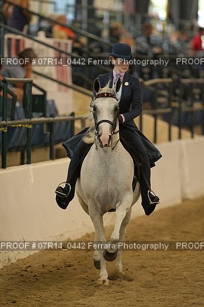 Proof 07R14_0442