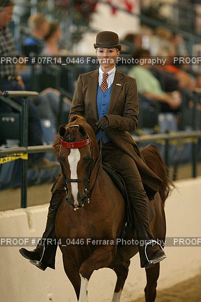 Proof 07R14_0446