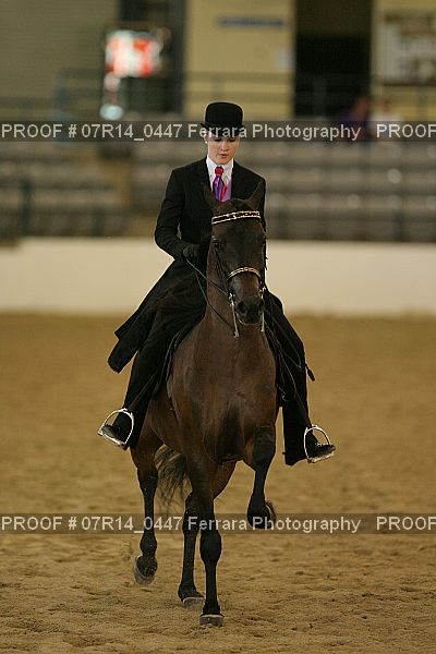 Proof 07R14_0447