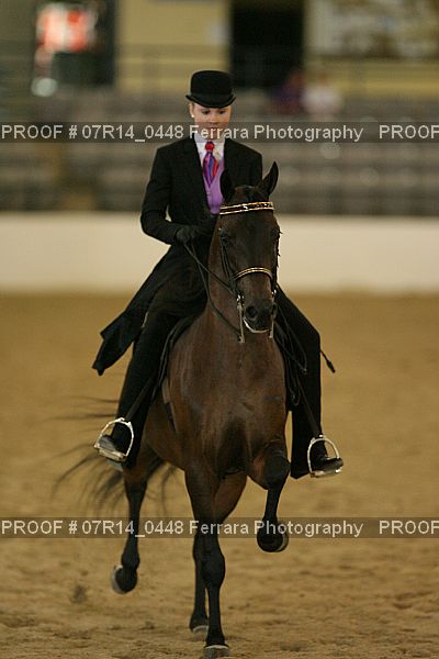 Proof 07R14_0448