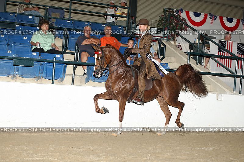 Proof 07R14_0450
