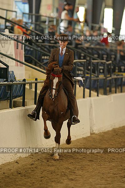 Proof 07R14_0452