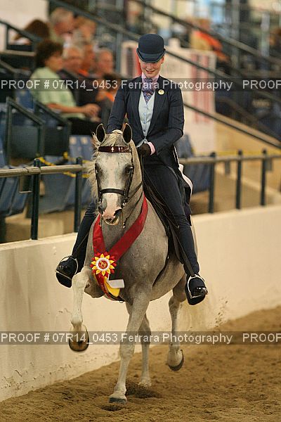 Proof 07R14_0453