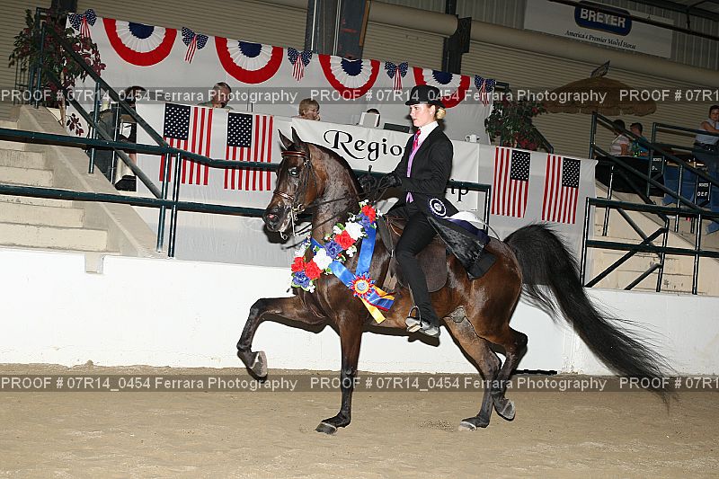Proof 07R14_0454