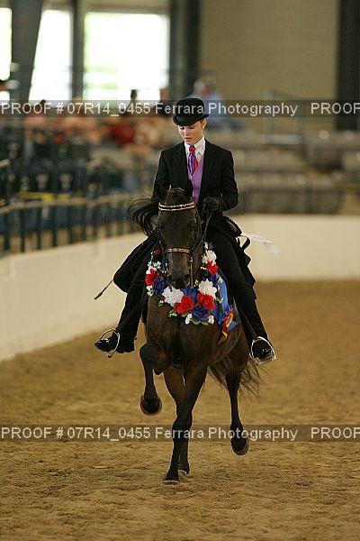Proof 07R14_0455