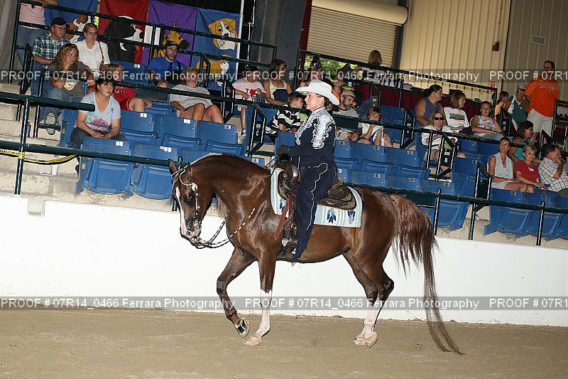 Proof 07R14_0466