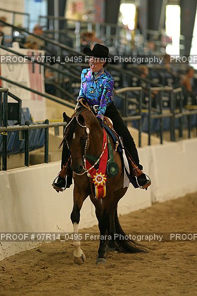 Proof 07R14_0495