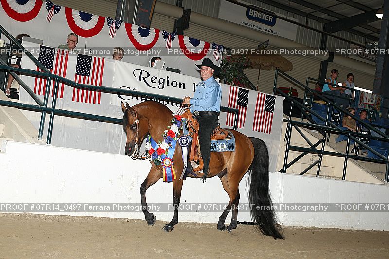 Proof 07R14_0497