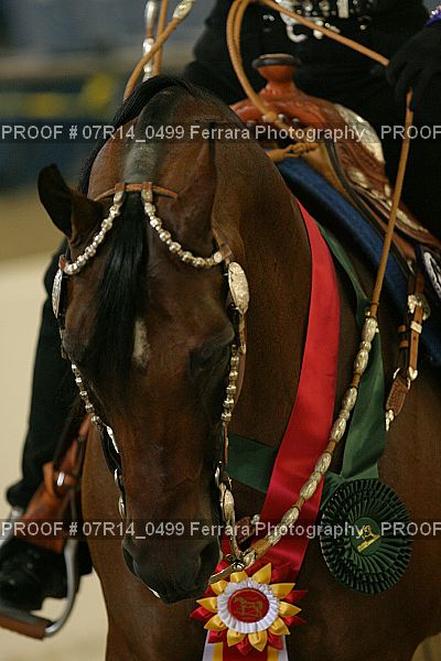 Proof 07R14_0499