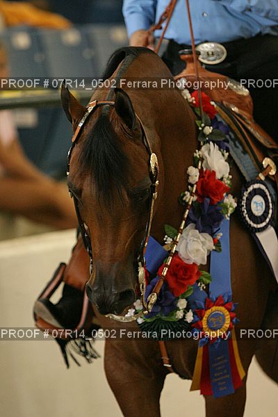 Proof 07R14_0502