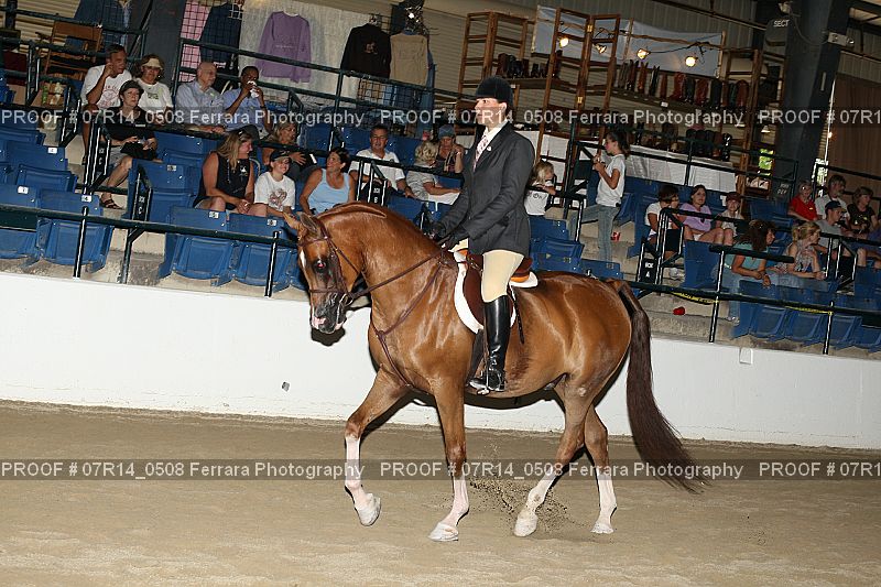 Proof 07R14_0508