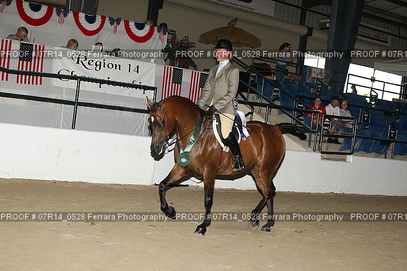 Proof 07R14_0528