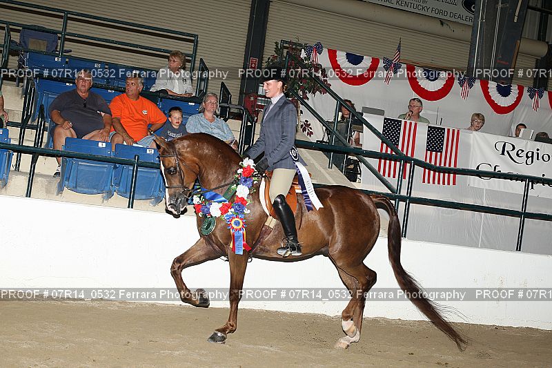 Proof 07R14_0532