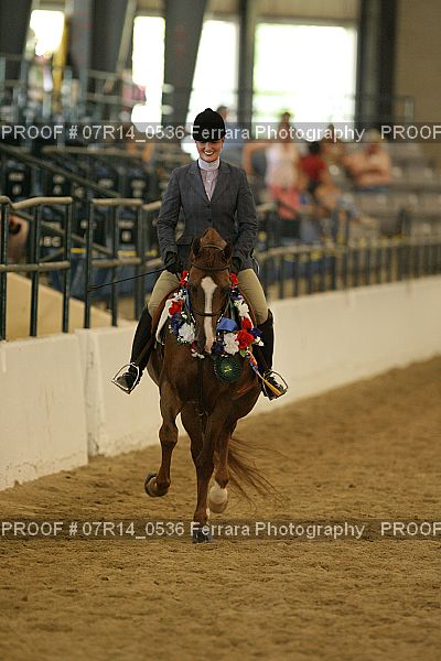 Proof 07R14_0536