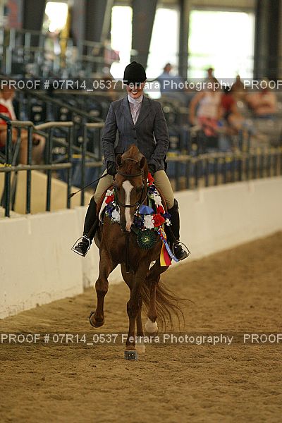 Proof 07R14_0537