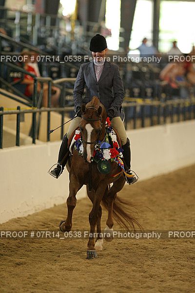 Proof 07R14_0538