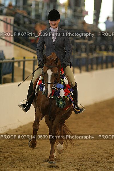 Proof 07R14_0539