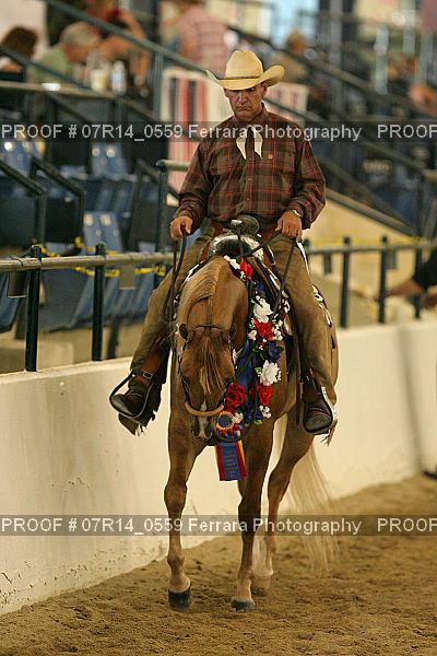 Proof 07R14_0559