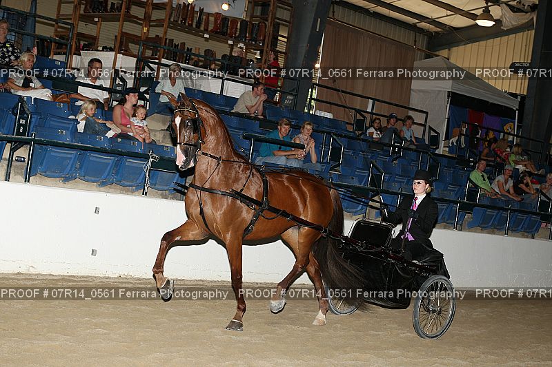 Proof 07R14_0561