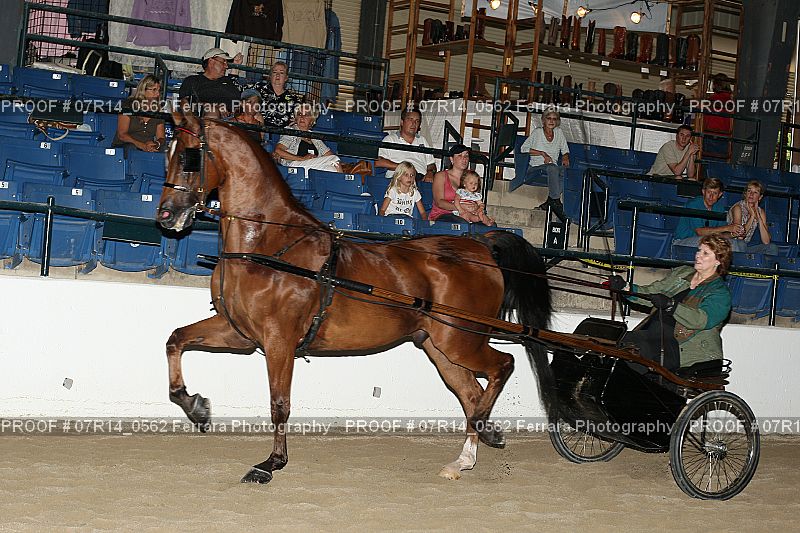 Proof 07R14_0562